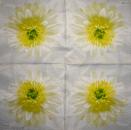 001 Flowers Others - 3 ply